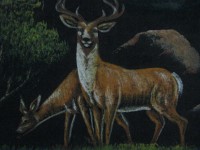 /album/fotogaleria/pinturas-004-jpg/